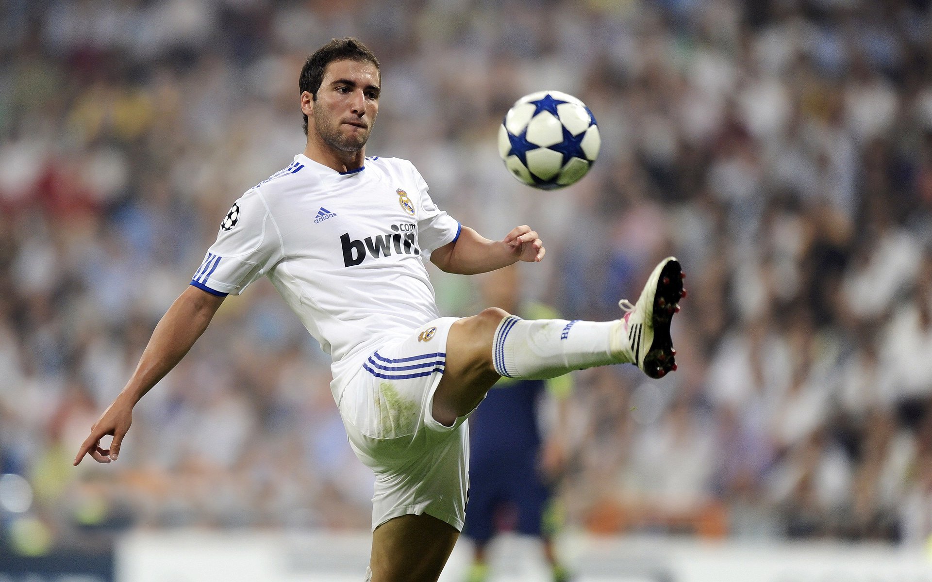 【纪录突破】选手打破历史得分纪录,破纪录拿金牌